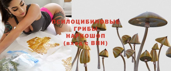 СК Заволжск