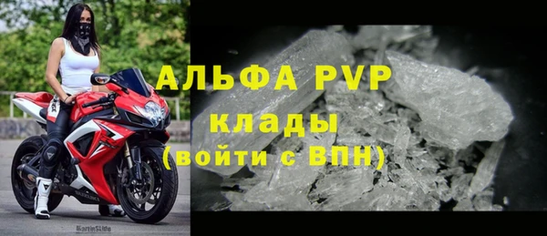 СК Заволжск