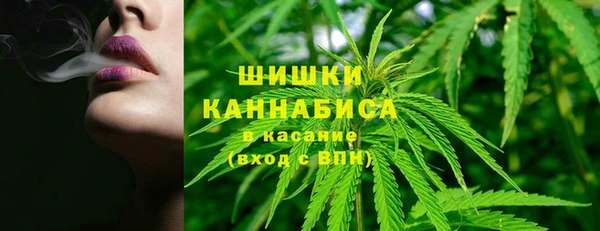 бошки Заводоуковск