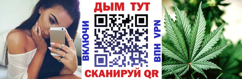 Бошки марихуана сатива  Кемь 